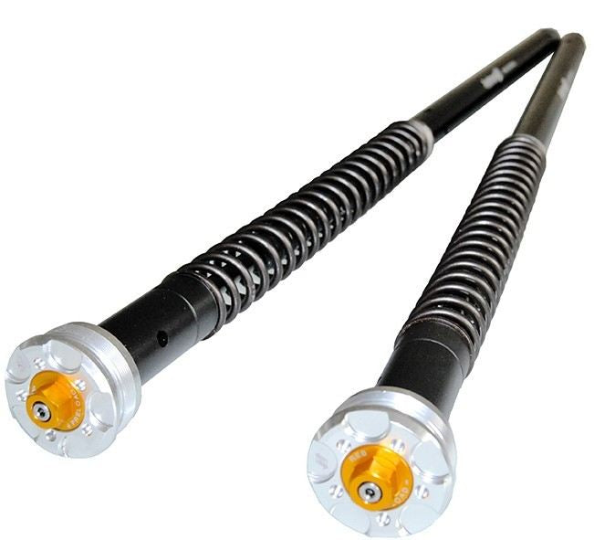 ANDREANI MISANO EVO ADJUSTABLE HYDRAULIC CARTRIDGES FOR MARZOCCHI 50 FOR APRILIA CAPONORD 2001>2004