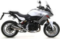 ARROW INDY RACE APPROVED TITANIUM EXHAUST SILENCER FOR BMW F900R/XR 2020>2021