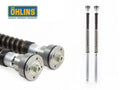 SET CARTUCCE FORCELLA OHLINS NIX30 DUCATI 848 2008-2013