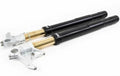 FORCELLA FGRT200 OHLINS COMPLETA DI CARTUCCE 30MM FODERI NERI PER DUCATI 1198 (SHOWA)