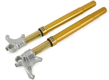 FORCELLA FGRT200 OHLINS COMPLETA DI CARTUCCE 30MM FODERI ORO PER DUCATI 1198 (SHOWA)