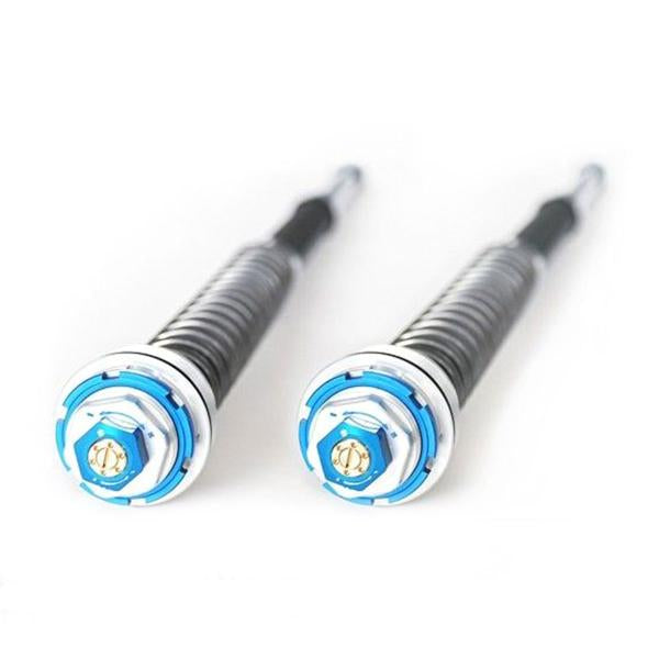 CARTUCCE FORCELLA FGGUBELLINI P.ZERO HONDA CBR600RR 2023-2026