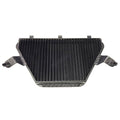 FILTRO ARIA SPRINTFILTER CARBON F1-85 HONDA CBR1000RR-R 2020-2024