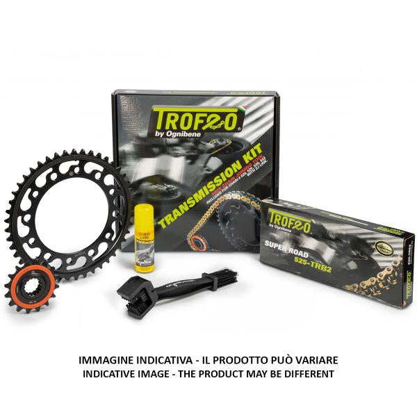KIT TRASMISSIONE TROFEO CATENA 428 CORONA 56 PIGNONE 16 KAWASAKI NINJA 125 ABS 2019-2020