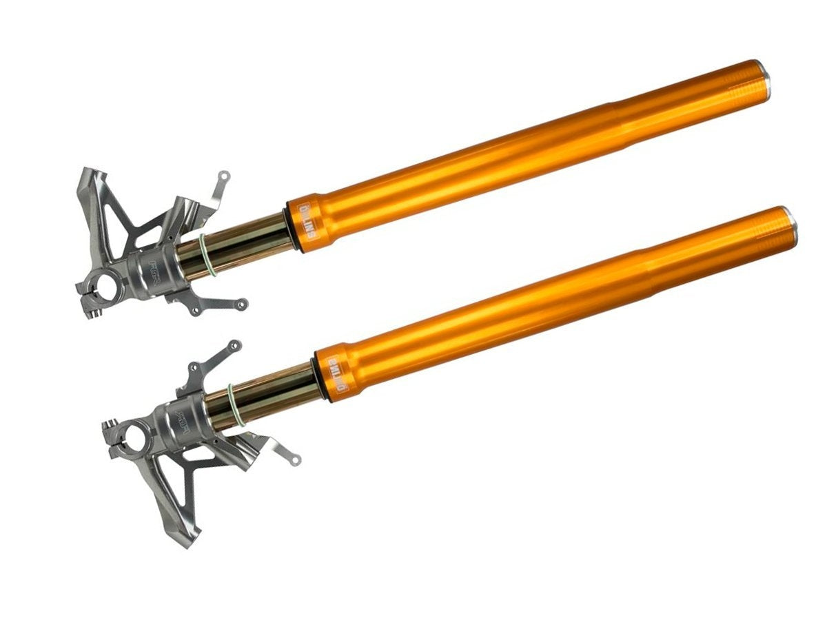 FORCELLA OHLINS REGOLABILE R&T43 - TTX25 ORO DUCATI PANIGALE V4 2018-2023